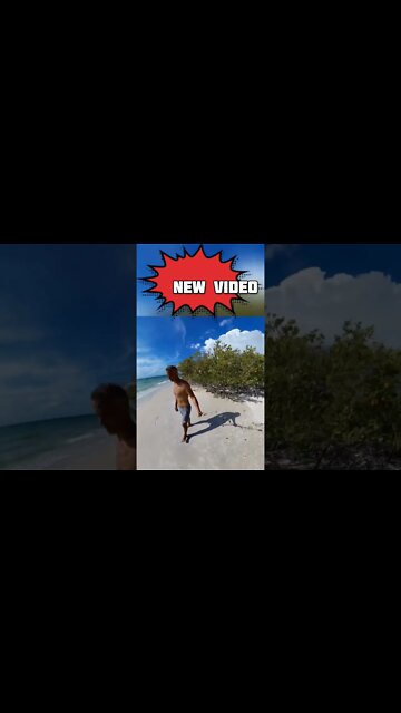 #newvideo #floridabeaches
