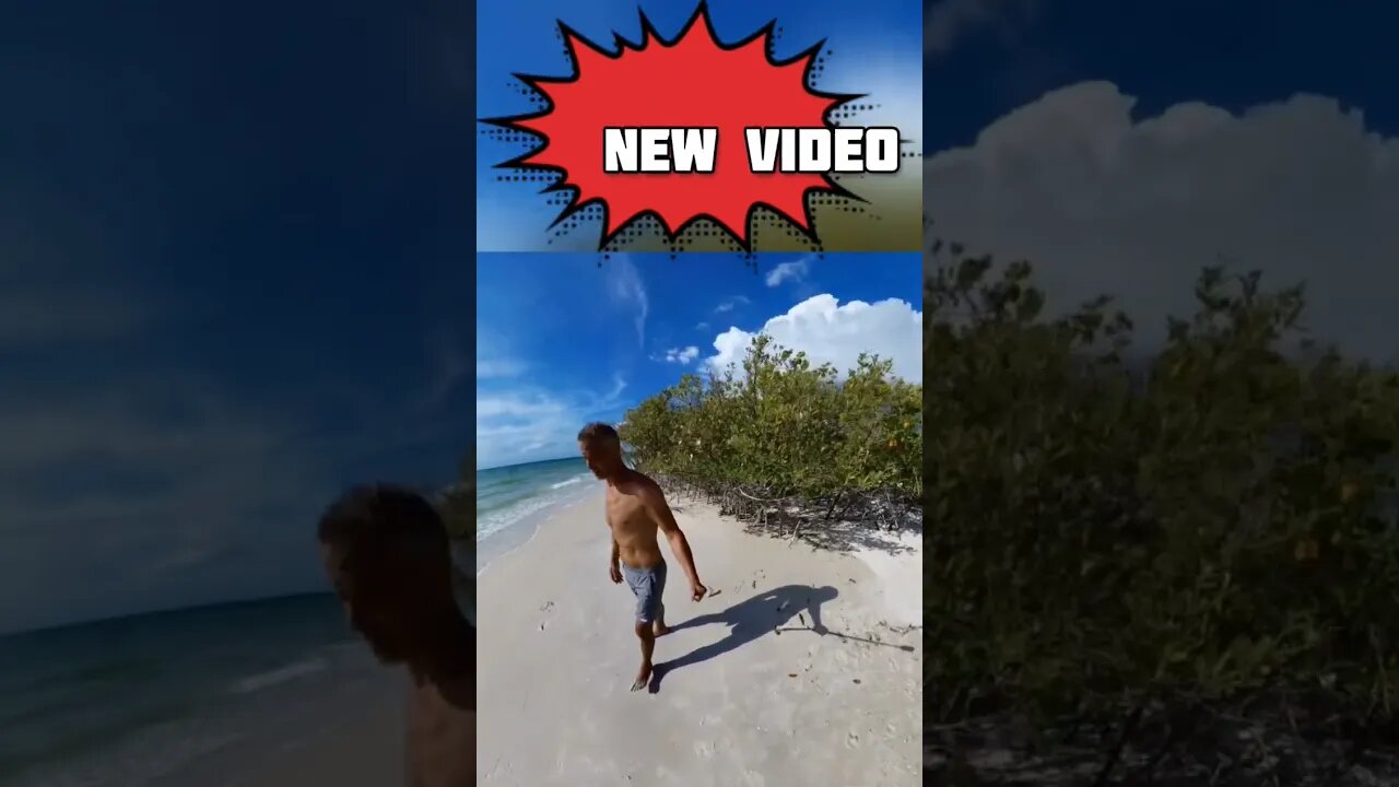 #newvideo #floridabeaches