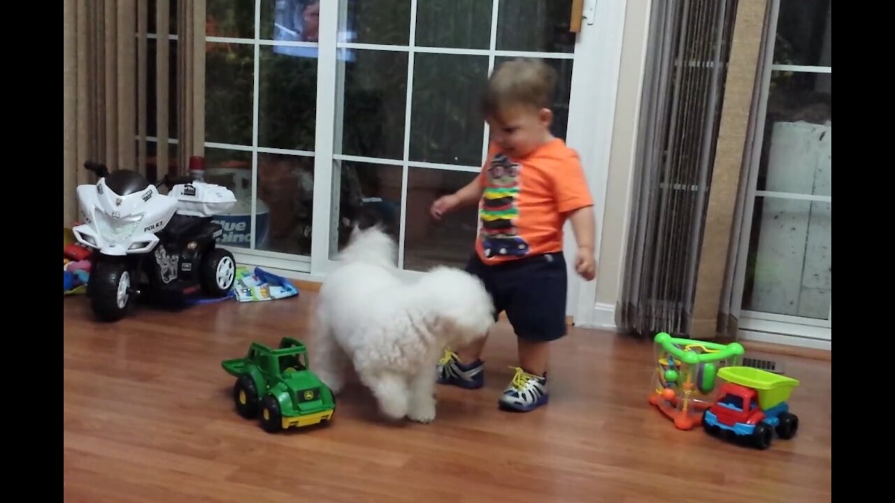 Dog puppy playing with baby.