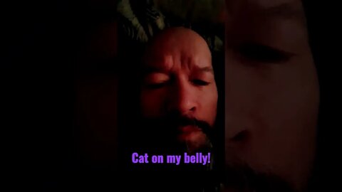 cats on our belly is what it all means