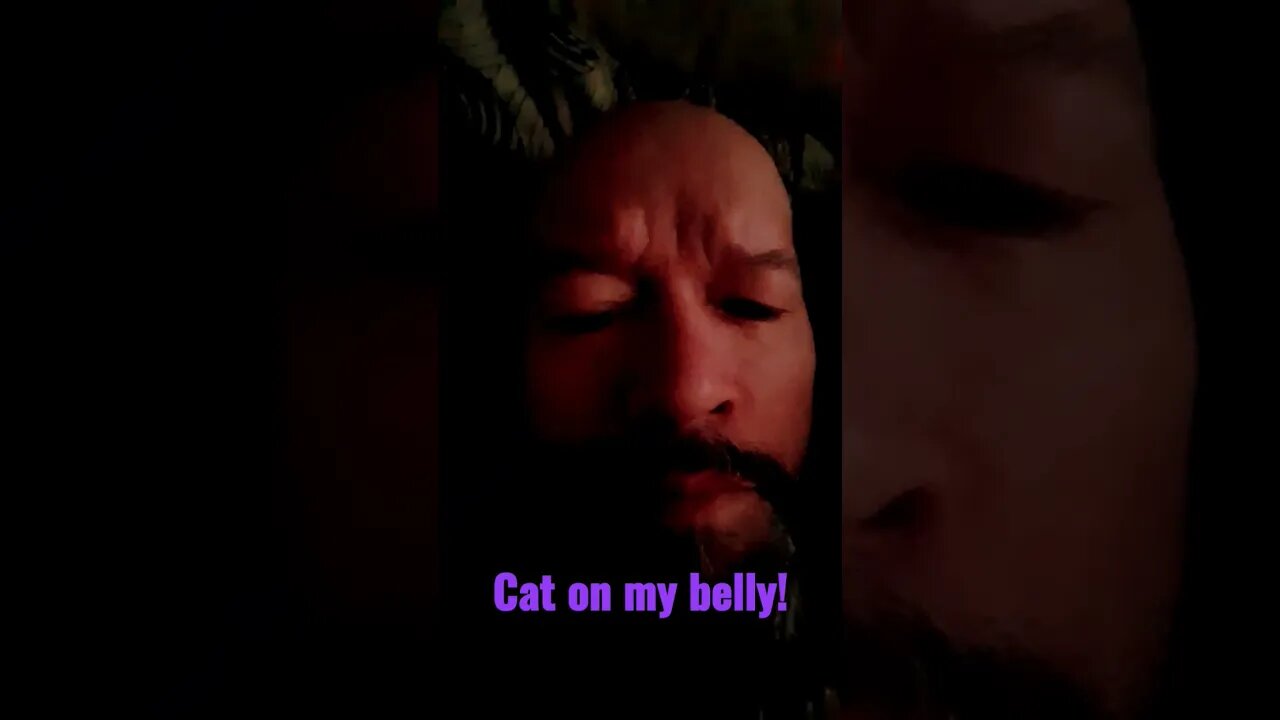 cats on our belly is what it all means