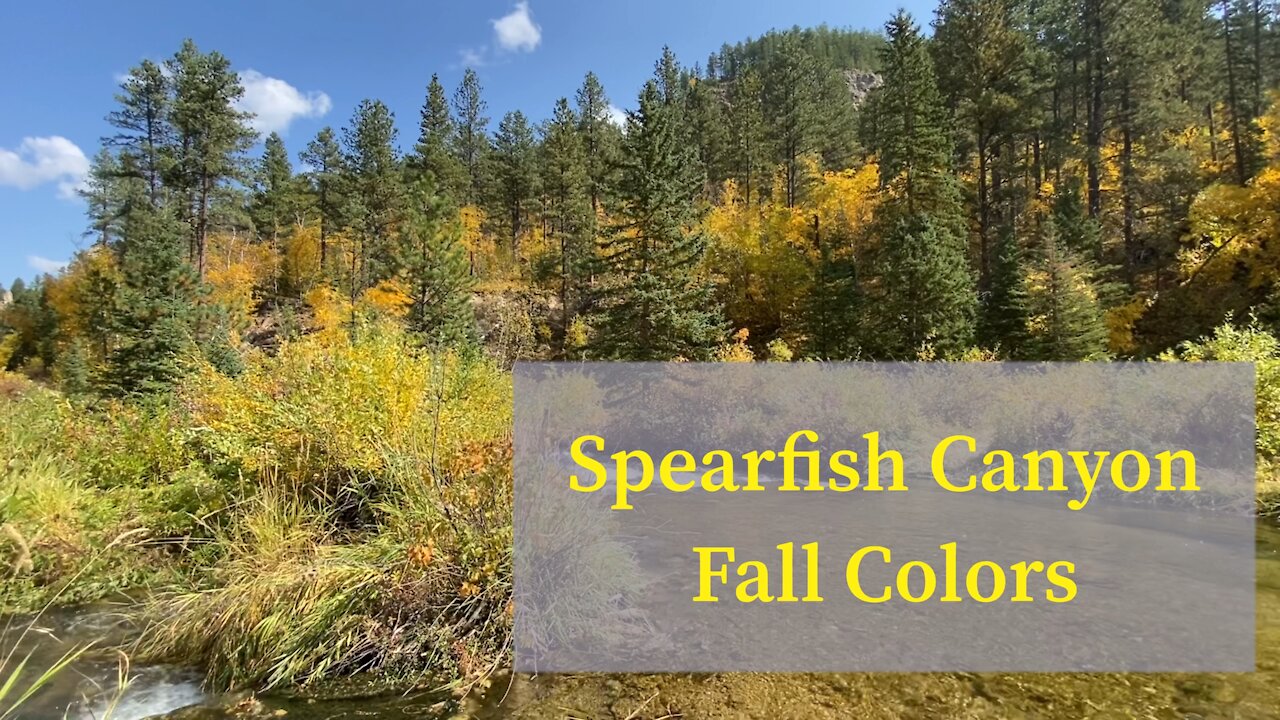 Fall Colors & Waterfalls Visit Spearfish Canyon in South Dakota by NoBSadventures