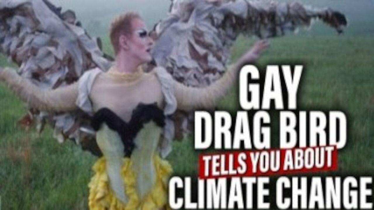 Gay Drag Bird Tells You About Climate Change