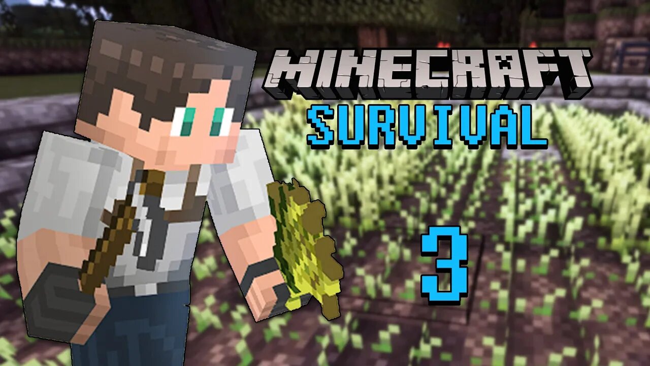 Minecraft Survival Relaxing Gameplay Episode 3