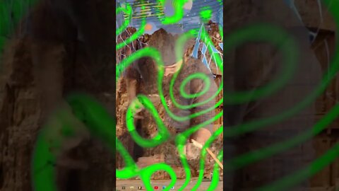 #guitarriff #ohhighbud #strangedanimal #weekendvibes