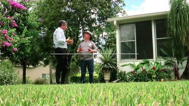 Grass guru gives free lawn lessons | Digital Short