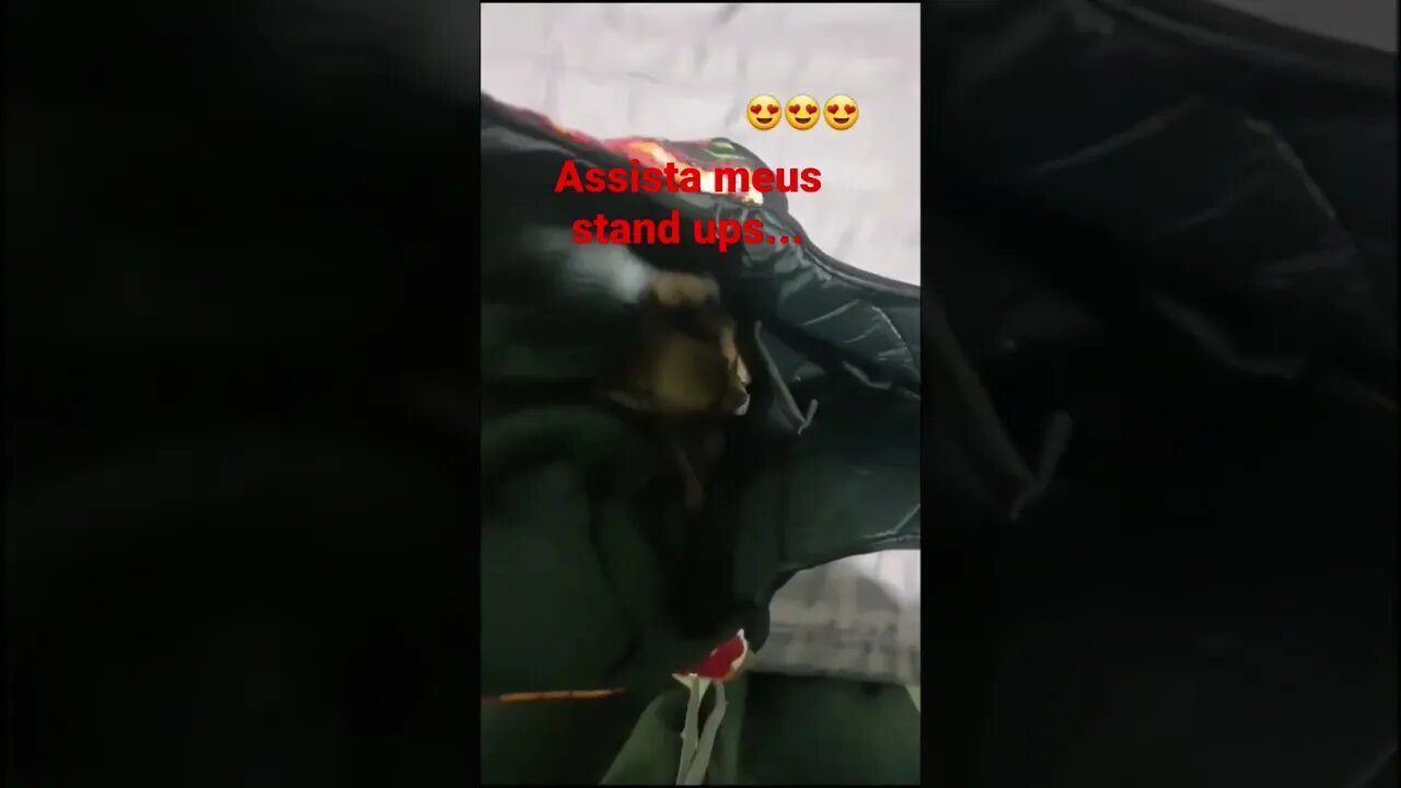 COMPRAS DIFERENCIADAS