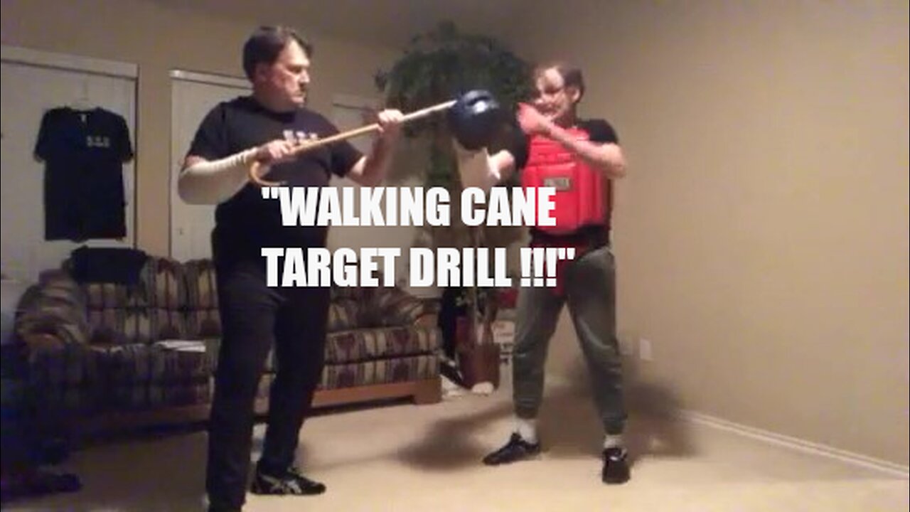 WALKING CANE TARGET DRILL WITH JKD SIFU MIKE GOLDBERG