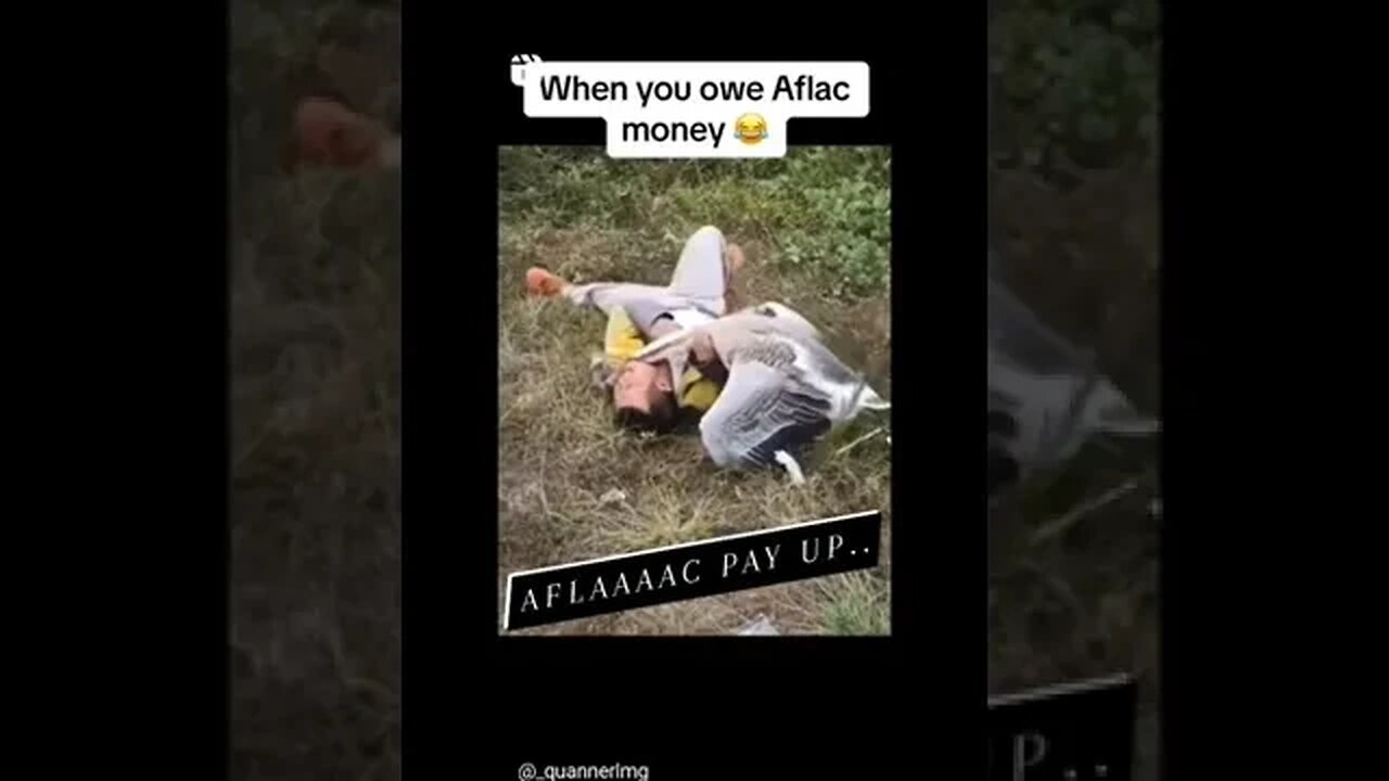 AFLAAAAC REPO