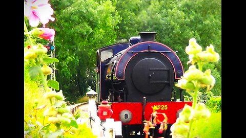 Northiam Steam Train Passing Us At Wittersham Road Halt UK 2021