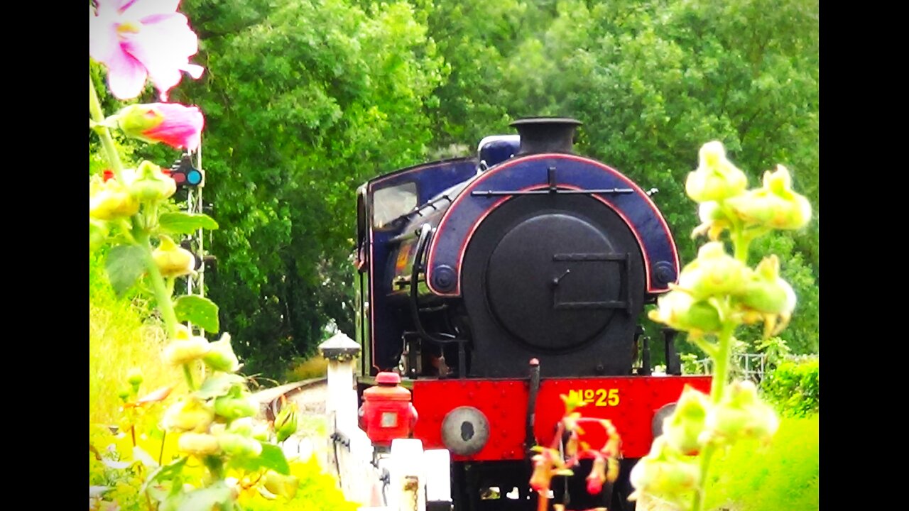 Northiam Steam Train Passing Us At Wittersham Road Halt UK 2021