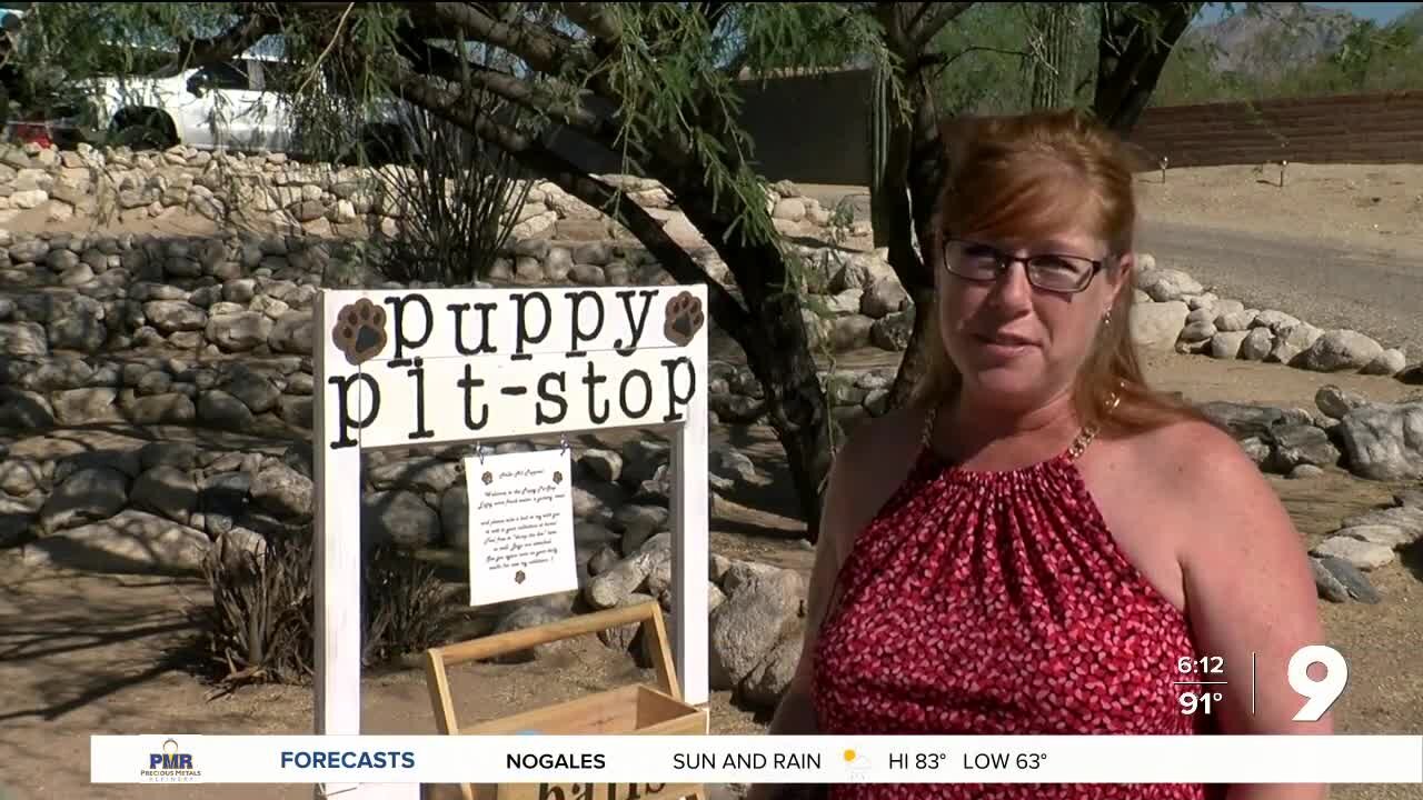 Woman sets up "puppy pit stop"