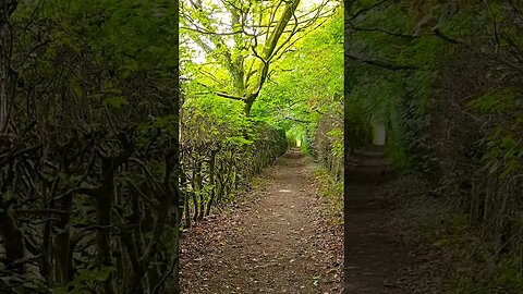 The West Highland Way views Scotland
