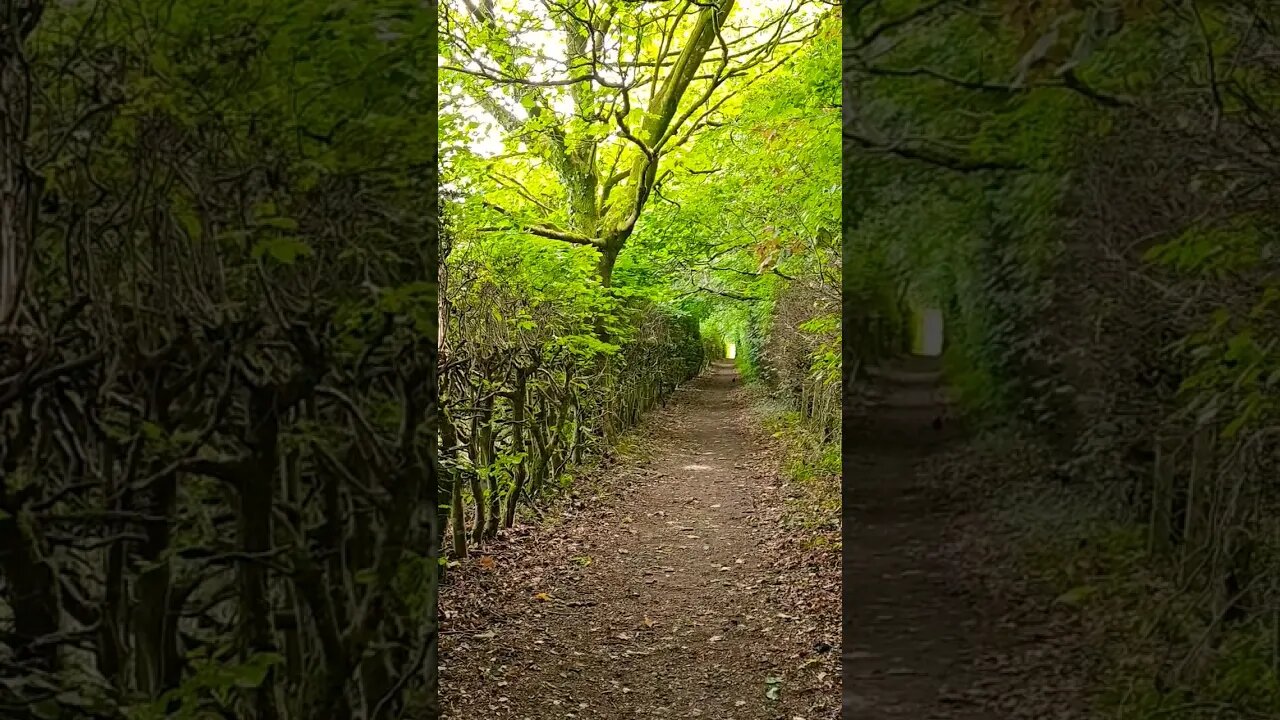 The West Highland Way views Scotland