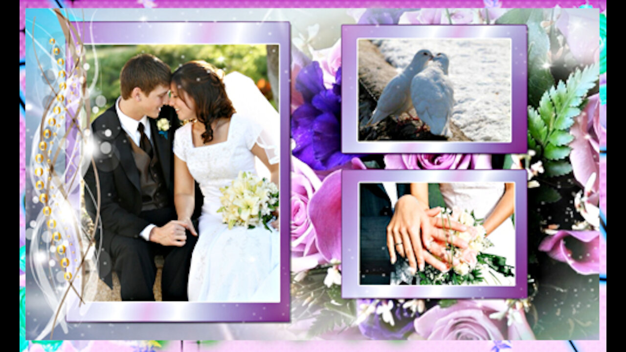 1023_Project ProShow Producer Свадебный