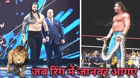 जब अचानक जानवर आ गए WWE के मैदान में!!5 wwe wreslers brought animals in the ring ! The great khali