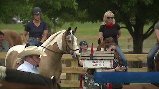 Lake Metroparks Farmpark holds western-themed Horsefest