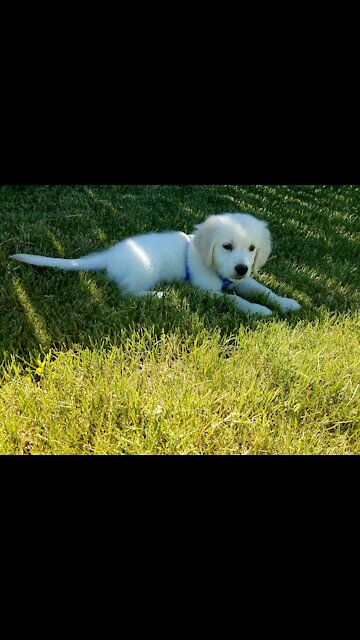 Jackson in his new home