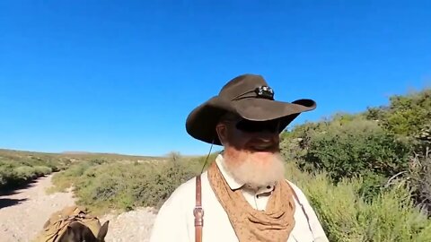 One day tour. into the desert # 19