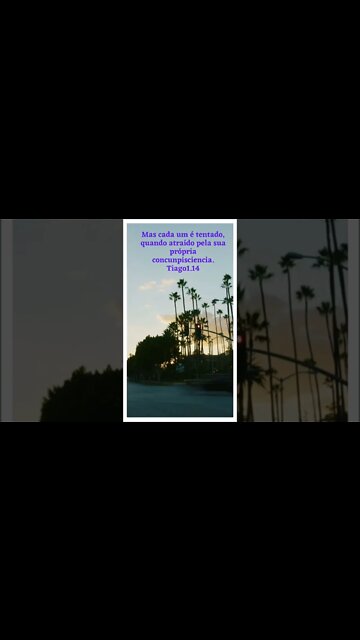 BOM DIA COM AS ESCRITURAS SAGRADAS.#shorts