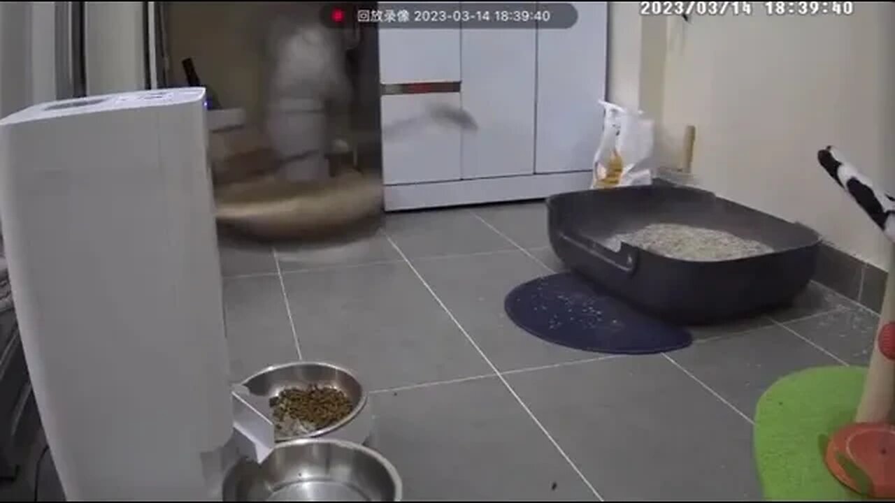 В финальном взгляде читается: «Ну и кто этот бардак сделал?»