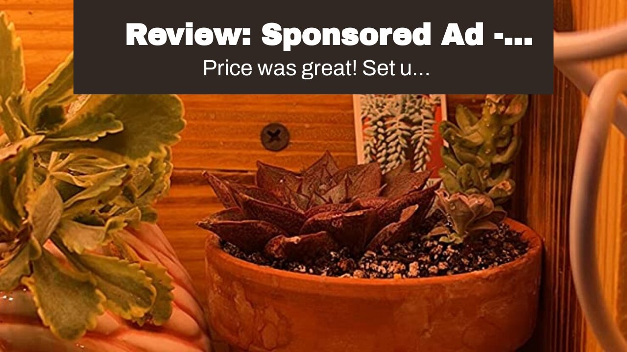 Review: Sponsored Ad - DOMMIA Grow Lights for Indoor Plants, 20W Full Spectrum LED Grow Light w...