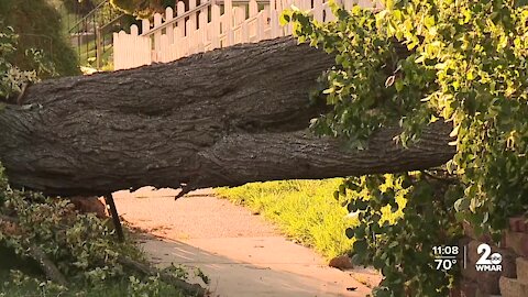 Crews working to restore power, clear damage caused by Monday night's storms