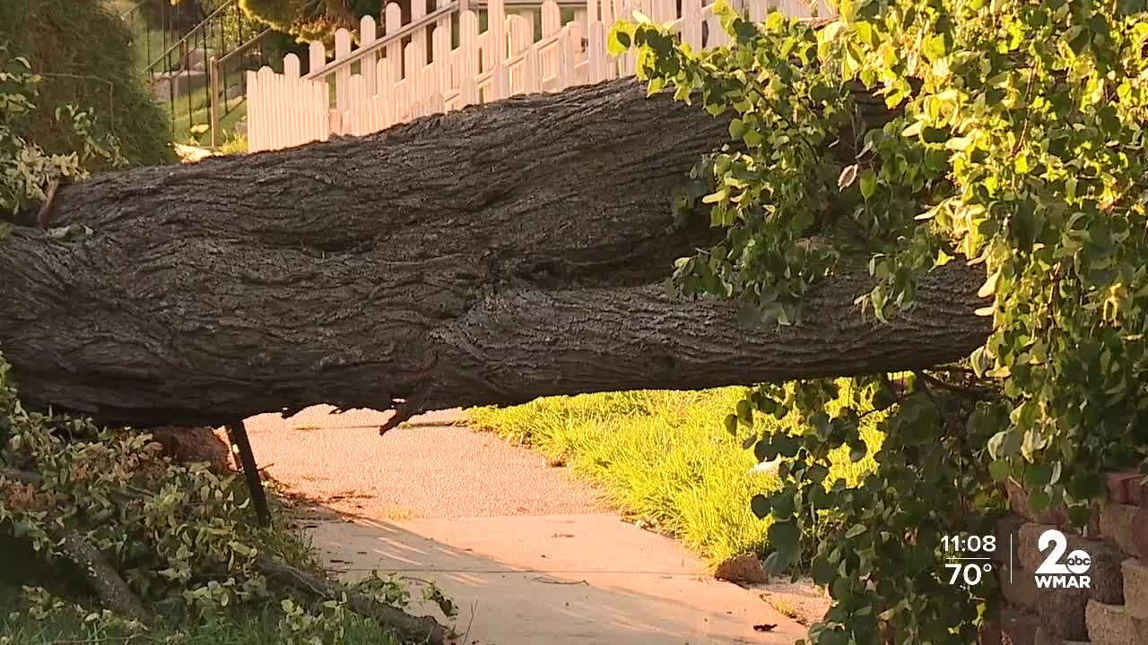 Crews working to restore power, clear damage caused by Monday night's storms