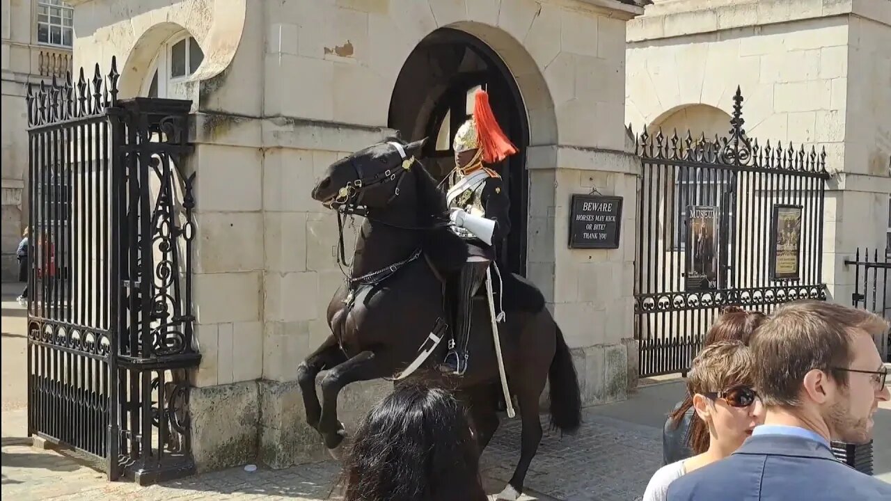 100s of motor bike's and quad bikes freak out the kings guards horse #horseguardsparade