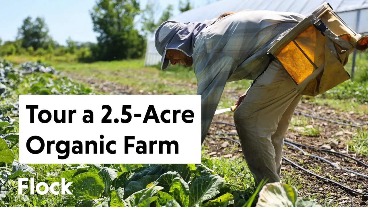 20-YR OLD ORGANIC 2.5-ACRE VEGGIE Farm Feeds 100+ People — Ep. 114