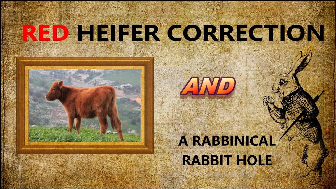 Red Heifer Correction