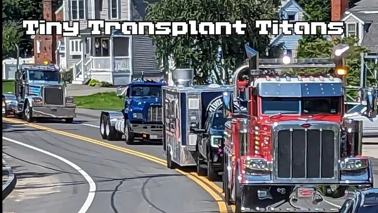 Tiny Transplant Titans Convoy!