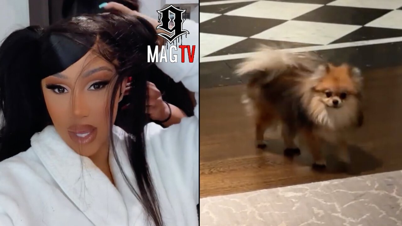 Cardi B Is Fed Up With Fluffy Barking At Ghost! 👻