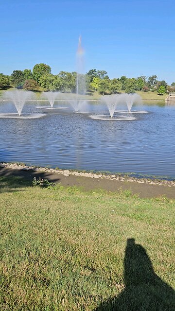 My Peaceful Place - If I Could ask President Trump One Question