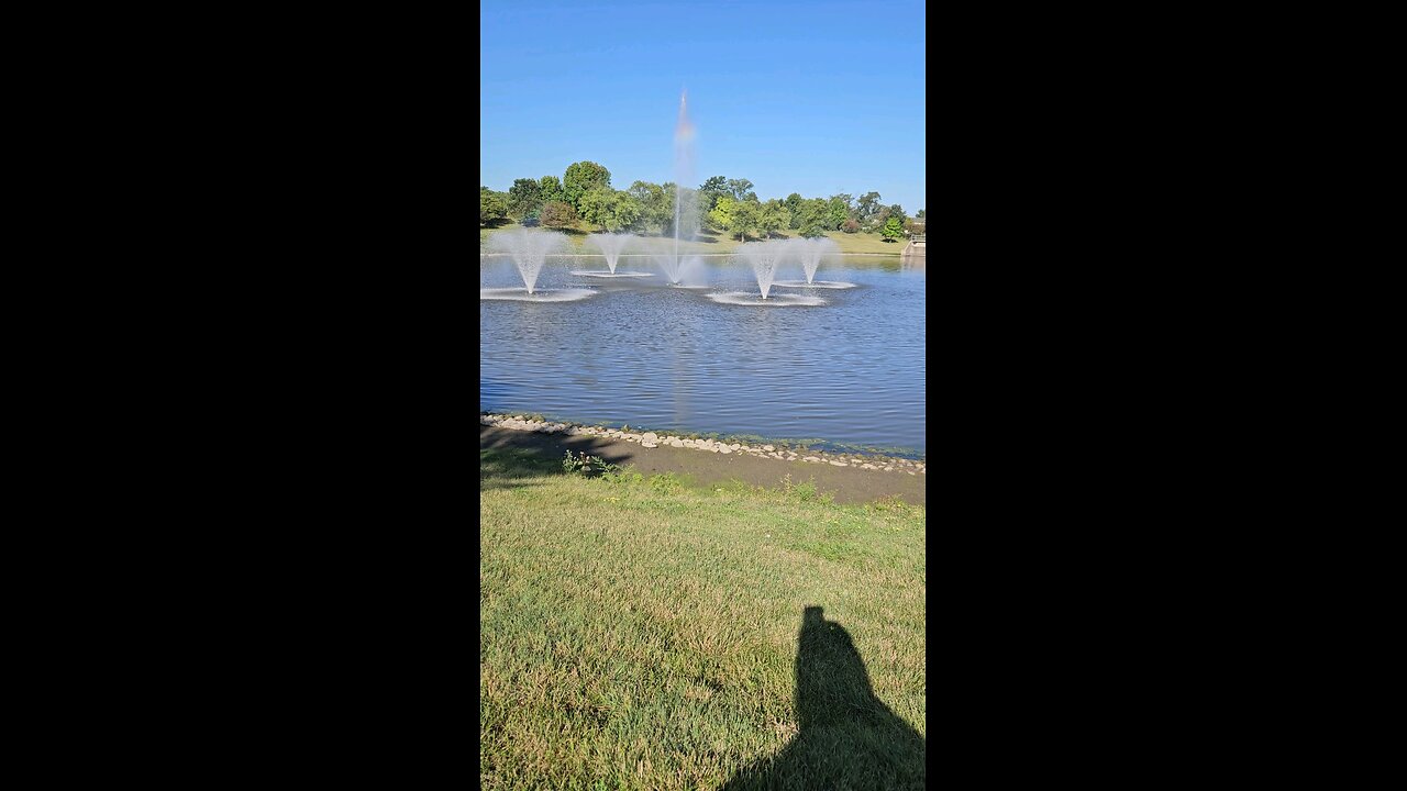 My Peaceful Place - If I Could ask President Trump One Question