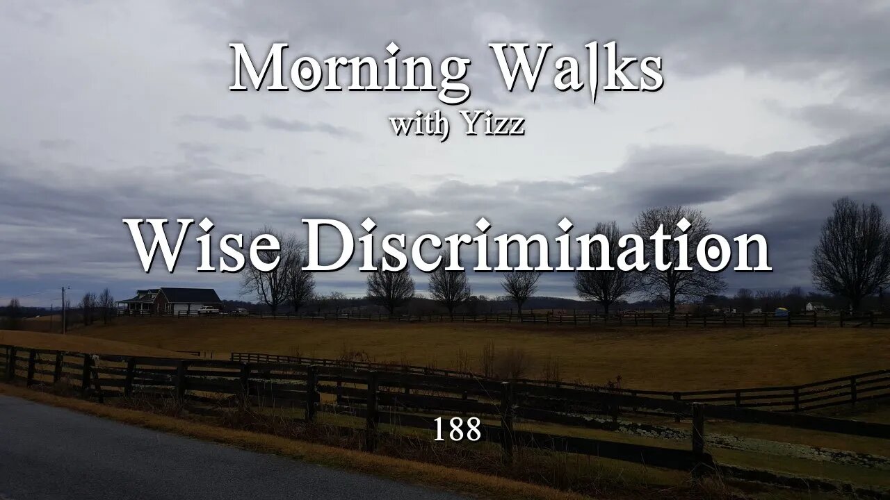 Morning Walks with Yizz 188 - Wise Discrimination (Not a T777 Impersonation)