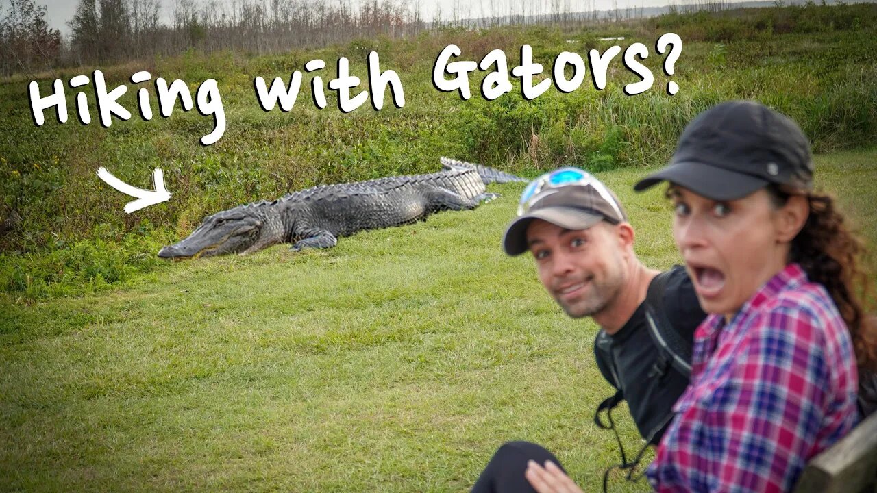 Alligator Adventures: 🐊 Exploring Paynes Prairie Preserve State Park | Florida