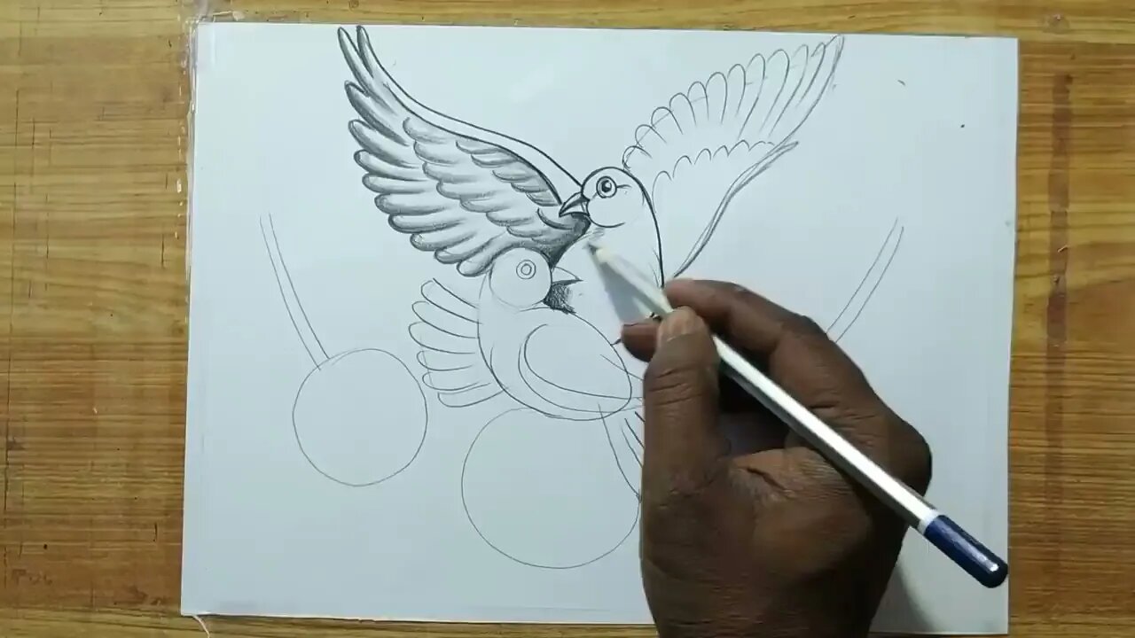 how to draw a pigeon and rose flowers with pencil sketch