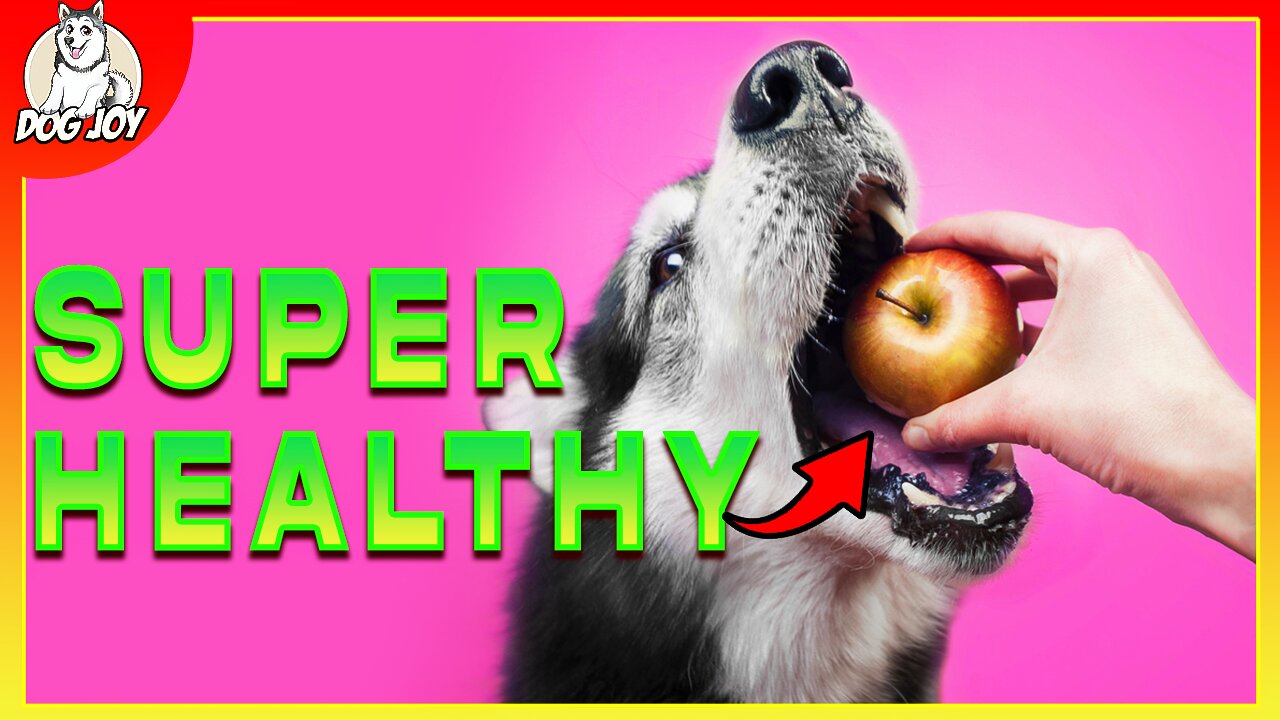 Top Human Foods That Are Actually Healthy For Dogs