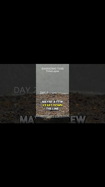 Don’t force your beliefs onto others…plant the seed! #changeyourself #planttheseed #helpothers