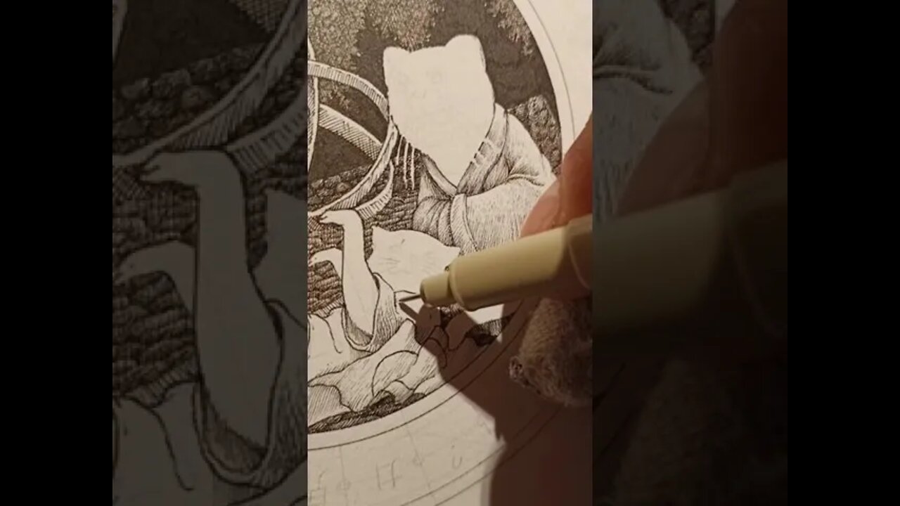 Cat illustrator