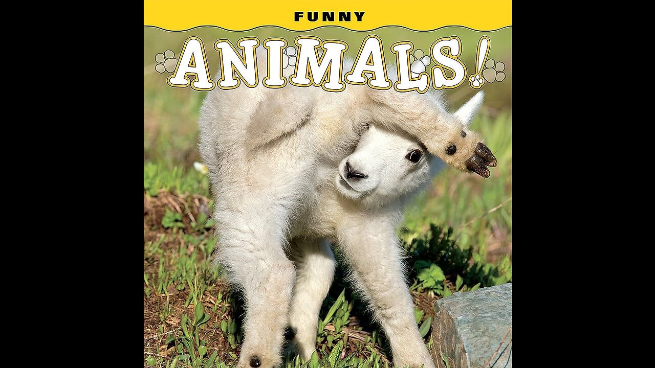 Funny Moments of Animal Part #1
