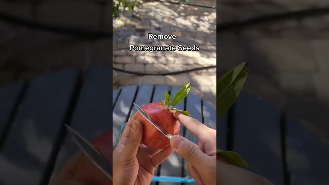 How to remove Pomegranate Seeds GreenMangoes #viral #shorts #viralshorts #gardening #pomegranate