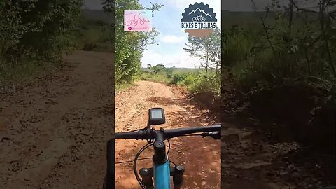 Pedal, mata e descida - BIKES E TRILHAS #shorts #bike #mtb