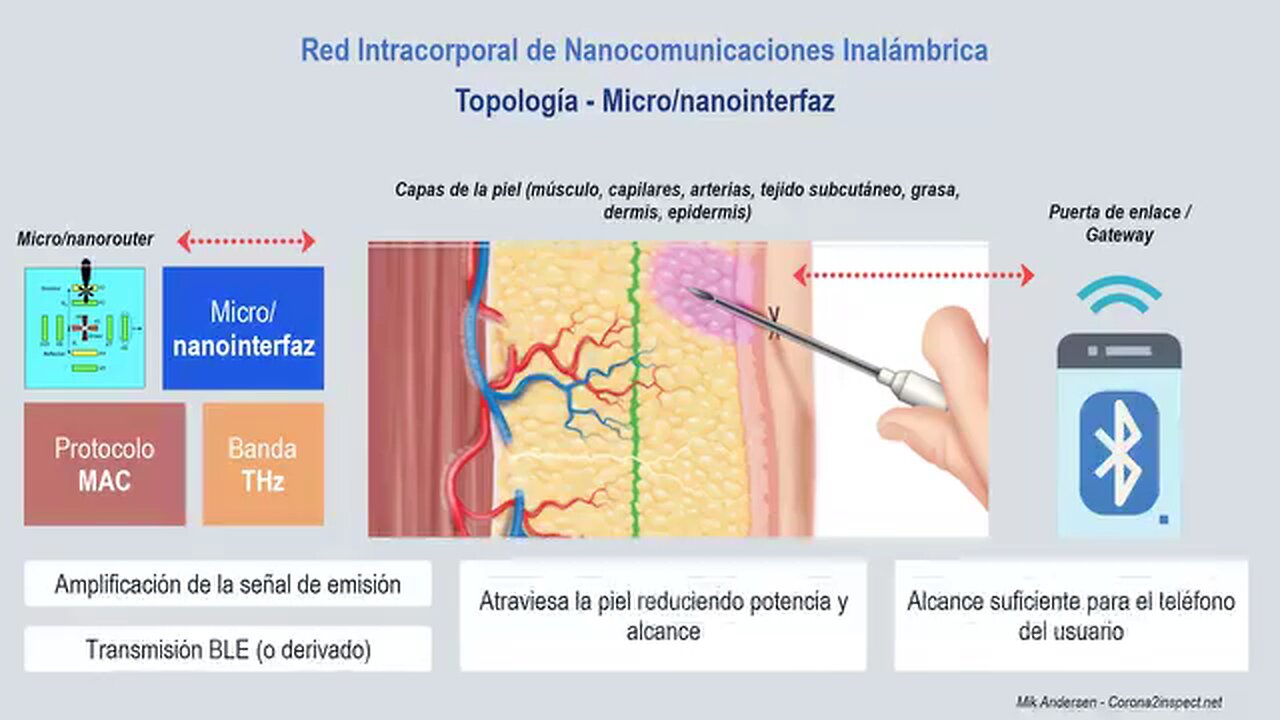 Red intracorporal grafénica inserta en todo genuino vacunado (para rastrear con MAC y ataques de 5G)