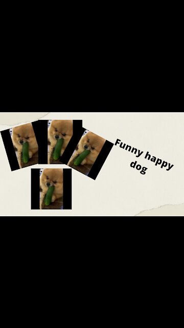 Happy Funny Dog very cute