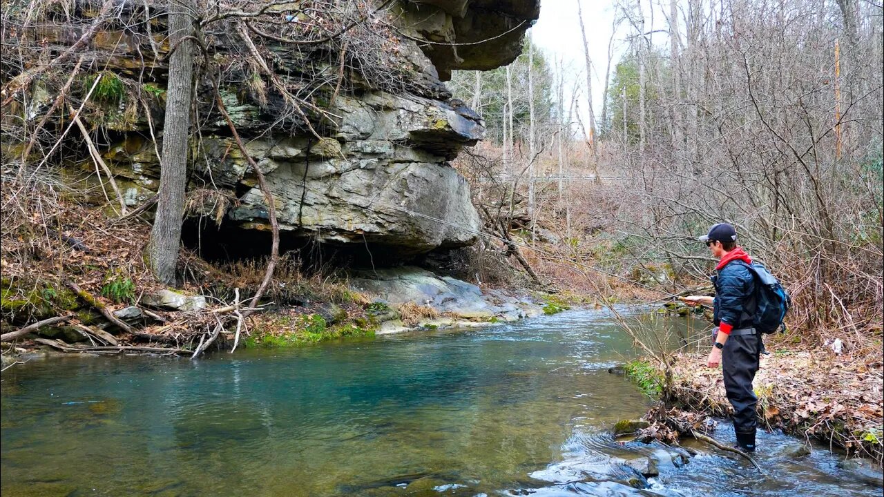 Fishing a Small Creek LOADED with Brown Trout! (ULTRA CLEAR WATER!)