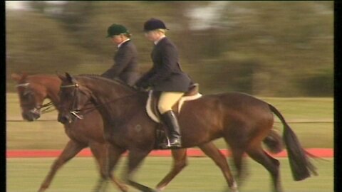 Horse of the Year