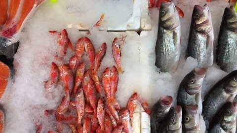 Fishes On Ice In Fish Store