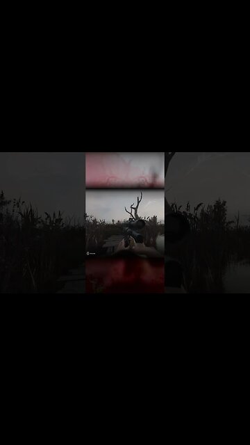 another stalker lost to a molitov #stalker2 #gameplay #stalkeranomaly #games #gamestiktok #gamewolrd